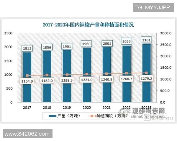 广州排球队在联合会杯中的实力展现与未来发展潜力分析